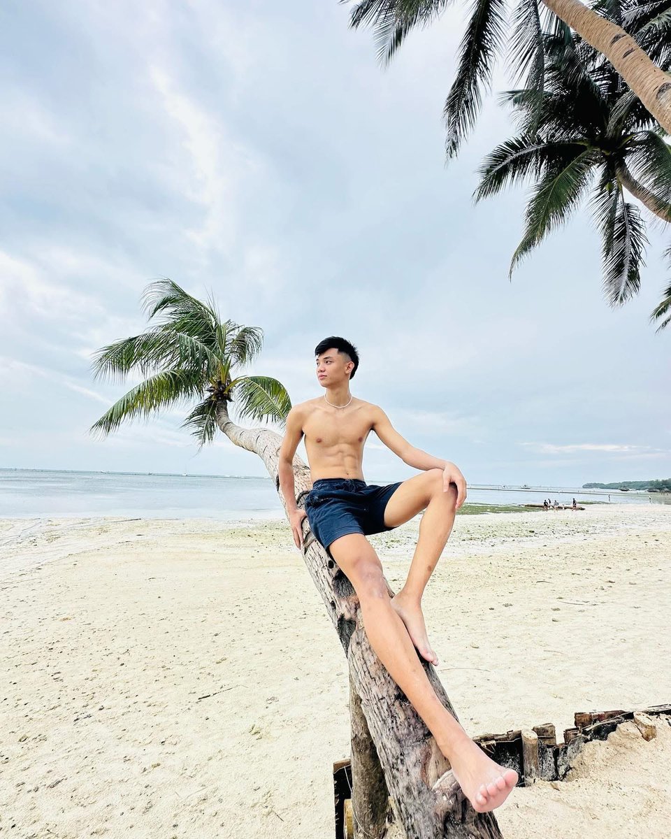 joy to the world tweet media