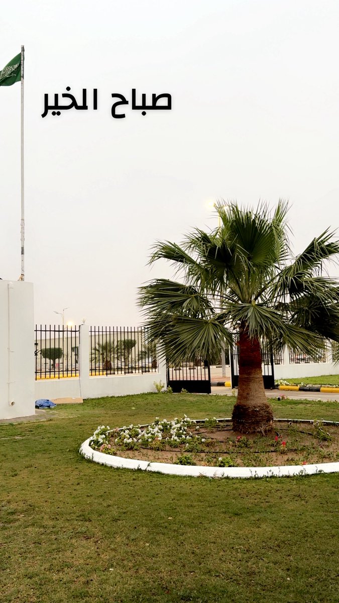 HR : MAJED ALRASHED tweet media