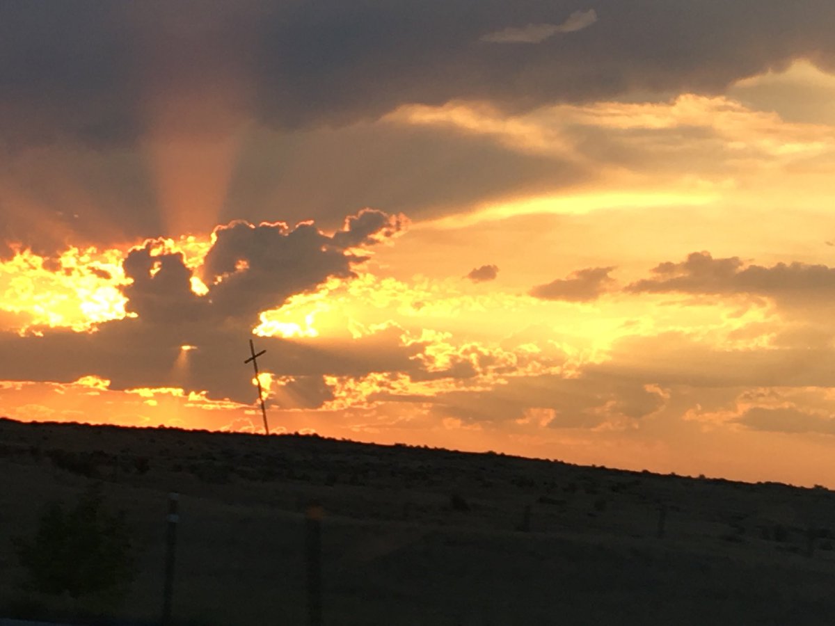 Jen Mendyka tweet media