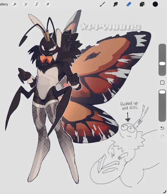 I open my closeted filled with suspiciously bug sized outfits