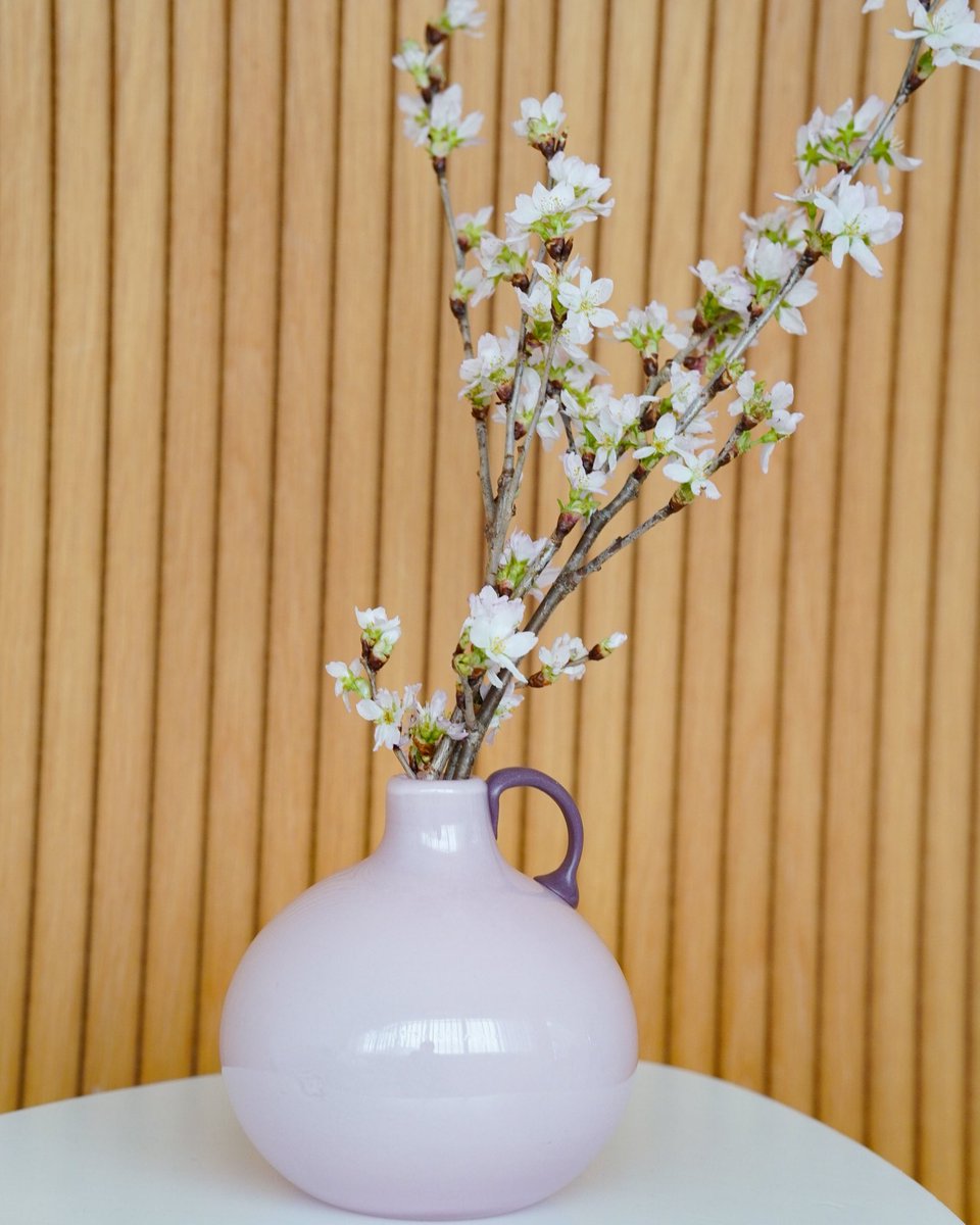 ALL PLUS DELIVER tweet media