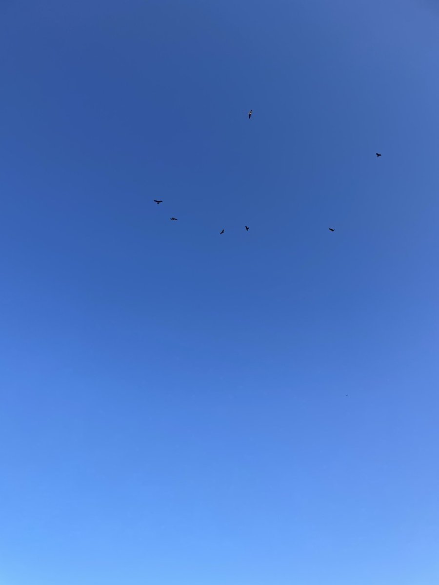 暇な主婦 tweet media