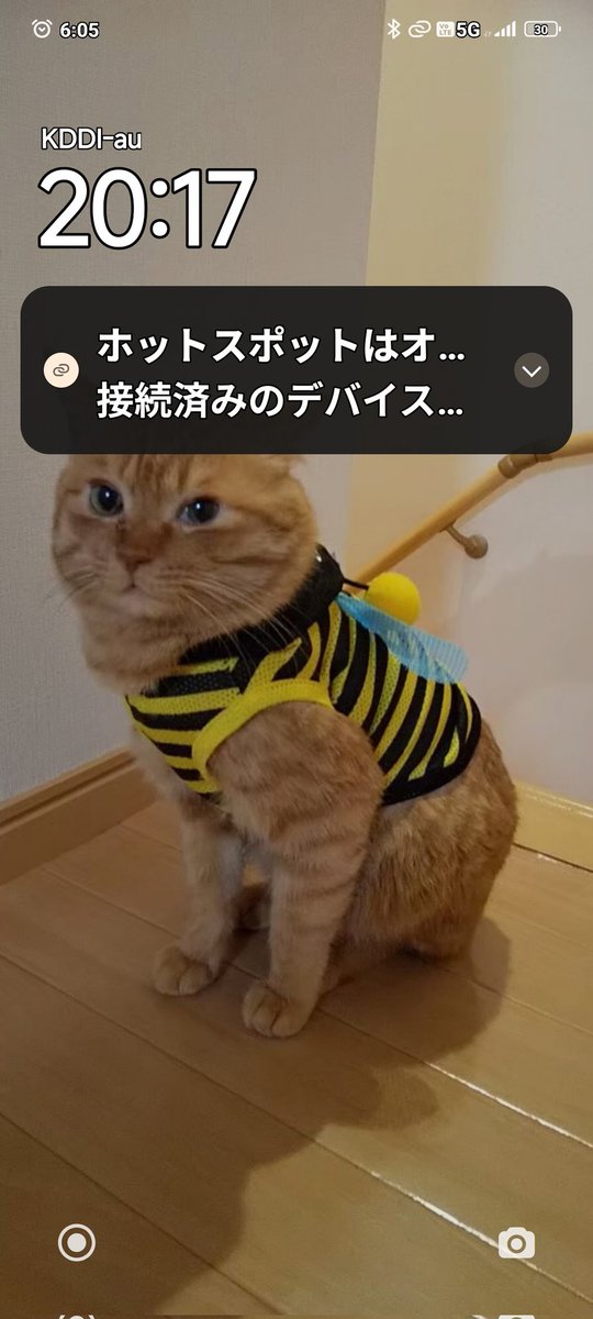 日の丸ニキ🇯🇵大西正都【●】【わ鏡】 tweet media