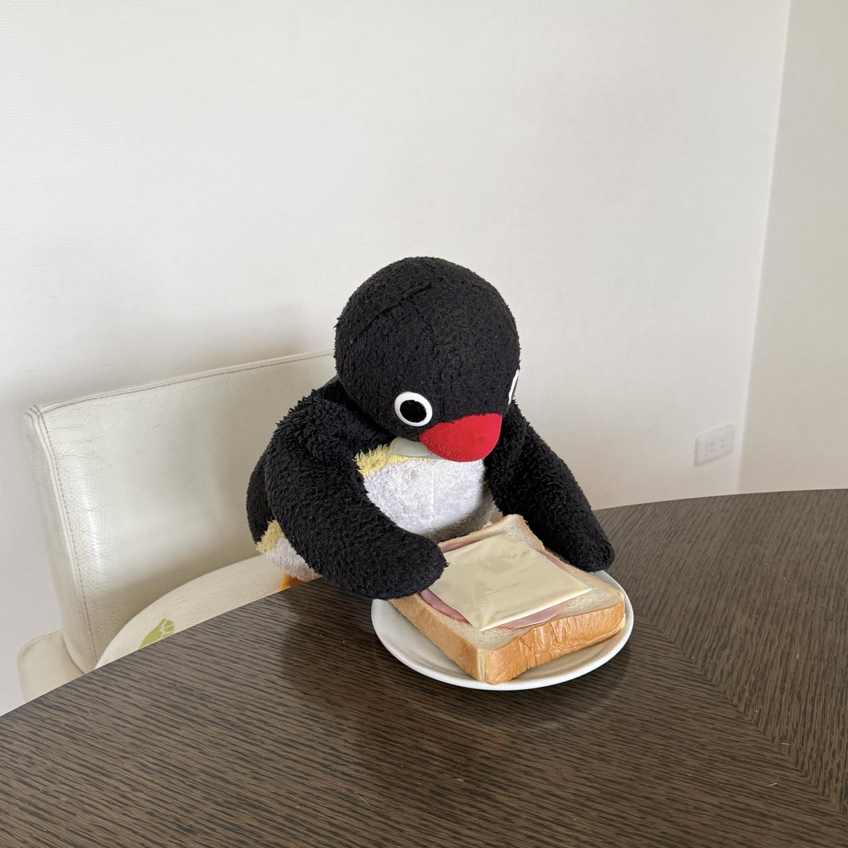 pingmyping tweet media