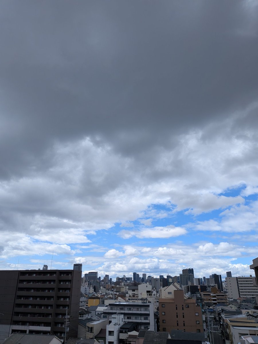 安井ゆき tweet media