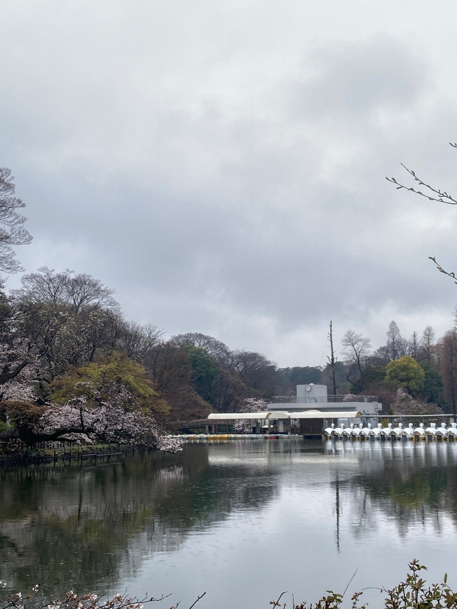 gallery  shell102 tweet media