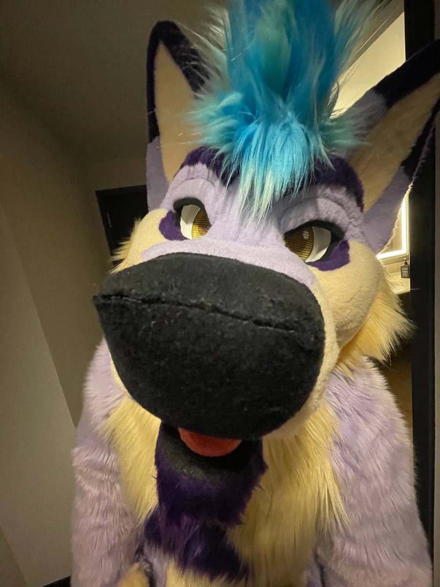 purple sentient triangle 🔜 TFF tweet media