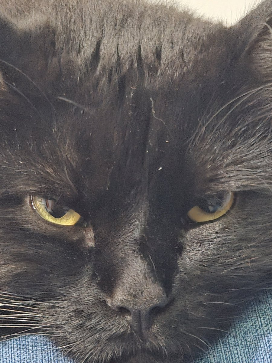 Victor Hugo tweet media