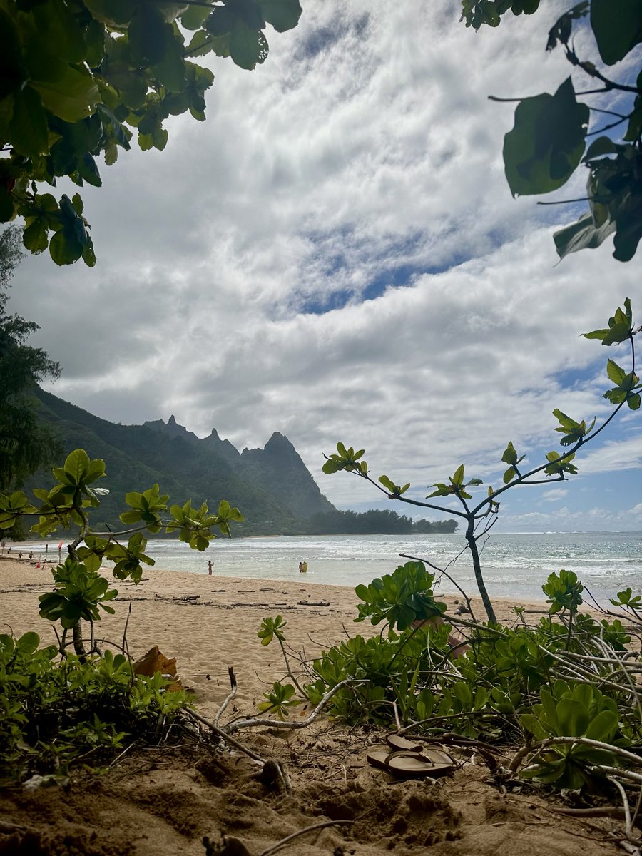 <a href="/kingbealestreet/">.</a> getting likes so please consider donating to flood relief and recovery efforts!!! while kaua’i (pictured here) is more equipped for flooding and the kona lows, maui, o’ahu, and moloka’i are all facing serious damage, evacuations, and little gov. support!!!!lahuifoundation.org