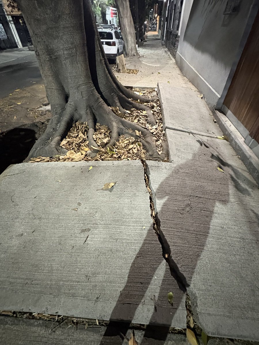 CAMACHIN7's tweet photo. ¿Cuándo van a arreglar las banquetas? No se puede ni caminar. Personas en silla de ruedas tienen que bajarse a la calle y arriesgar la vida. ¿Van a esperar a que haya un accidente? @BJAlcaldia @LuisMendozaBJ https://t.co/004C4h9rWy