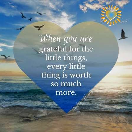 suziday123's tweet image. Thursday friendly reminder… When you are grateful for the little things, every little thing is worth so much more. 🙌💙#ThankfulThursday #ThursdayThoughts