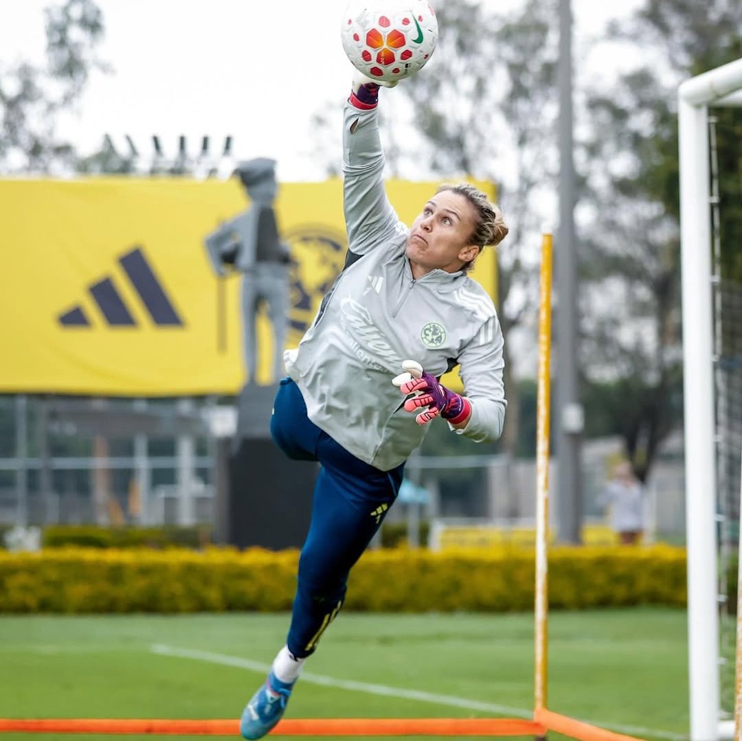 Calvoneta tweet media