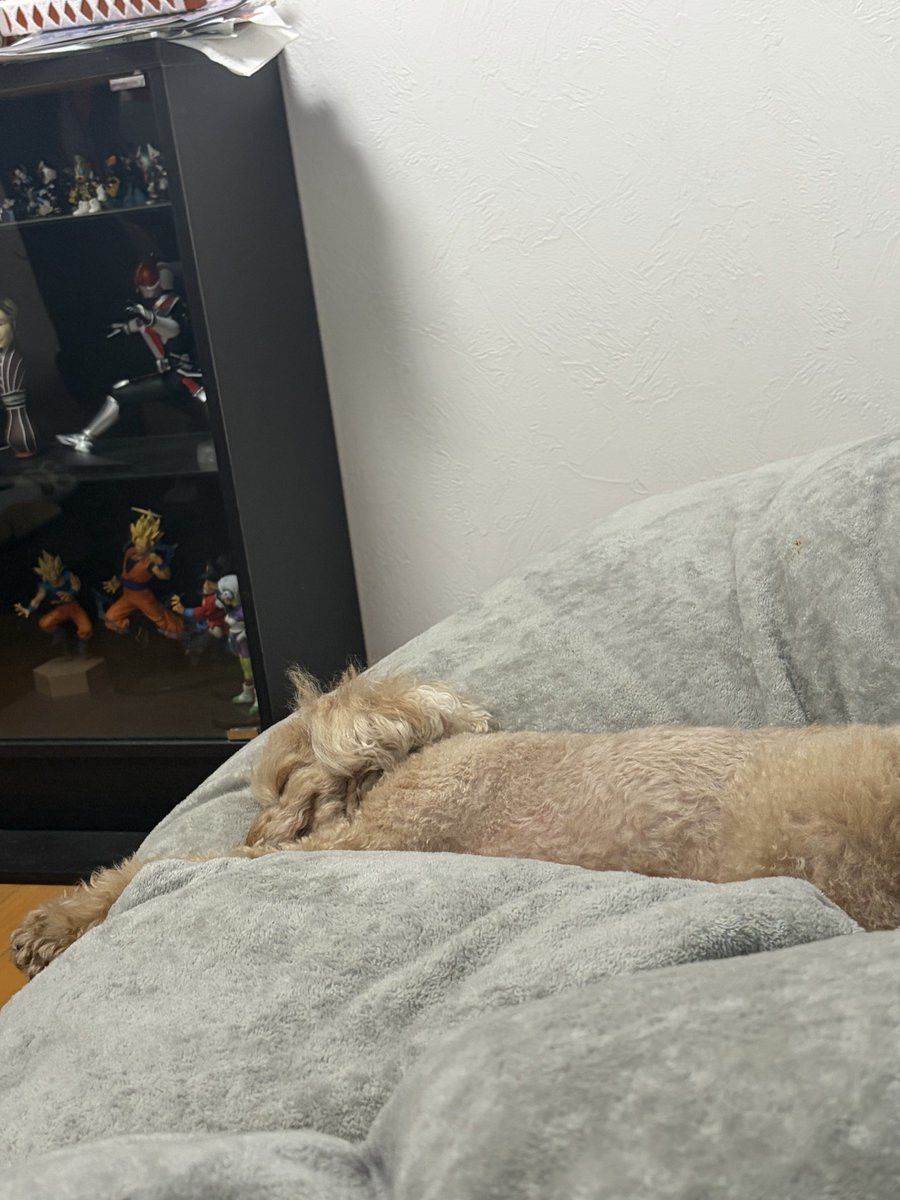 ใใใใใ@็ตกใฟใผ tweet media