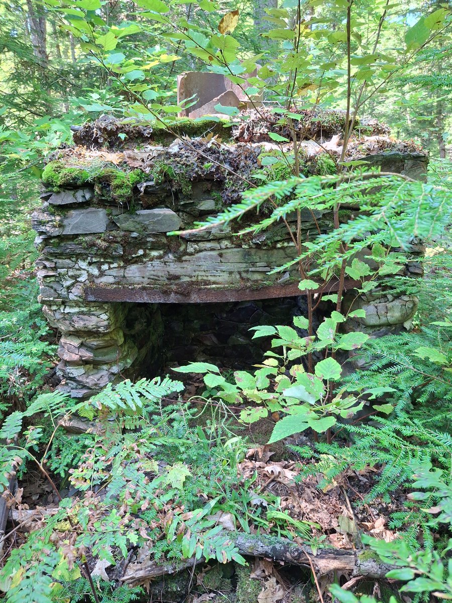 End_The_Parasite tweet media