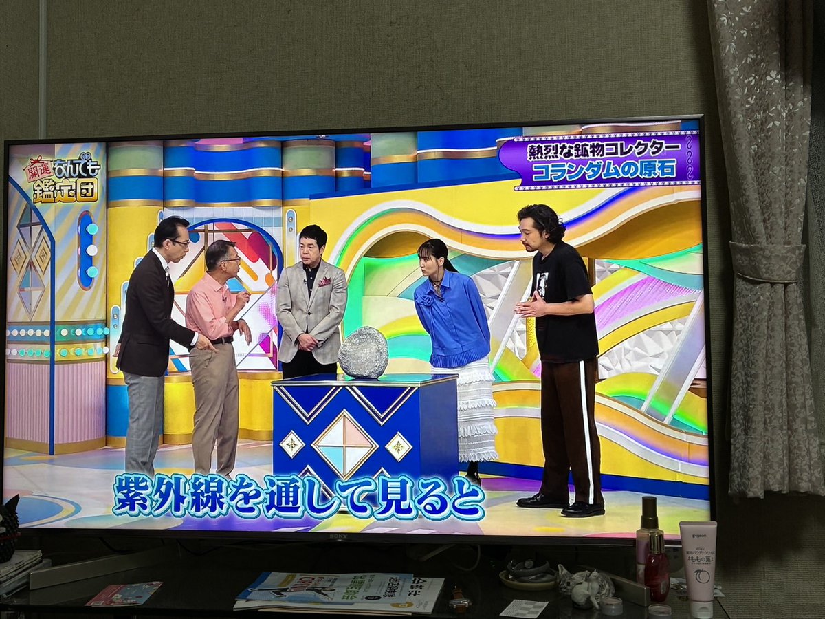 小玉標本室 tweet media