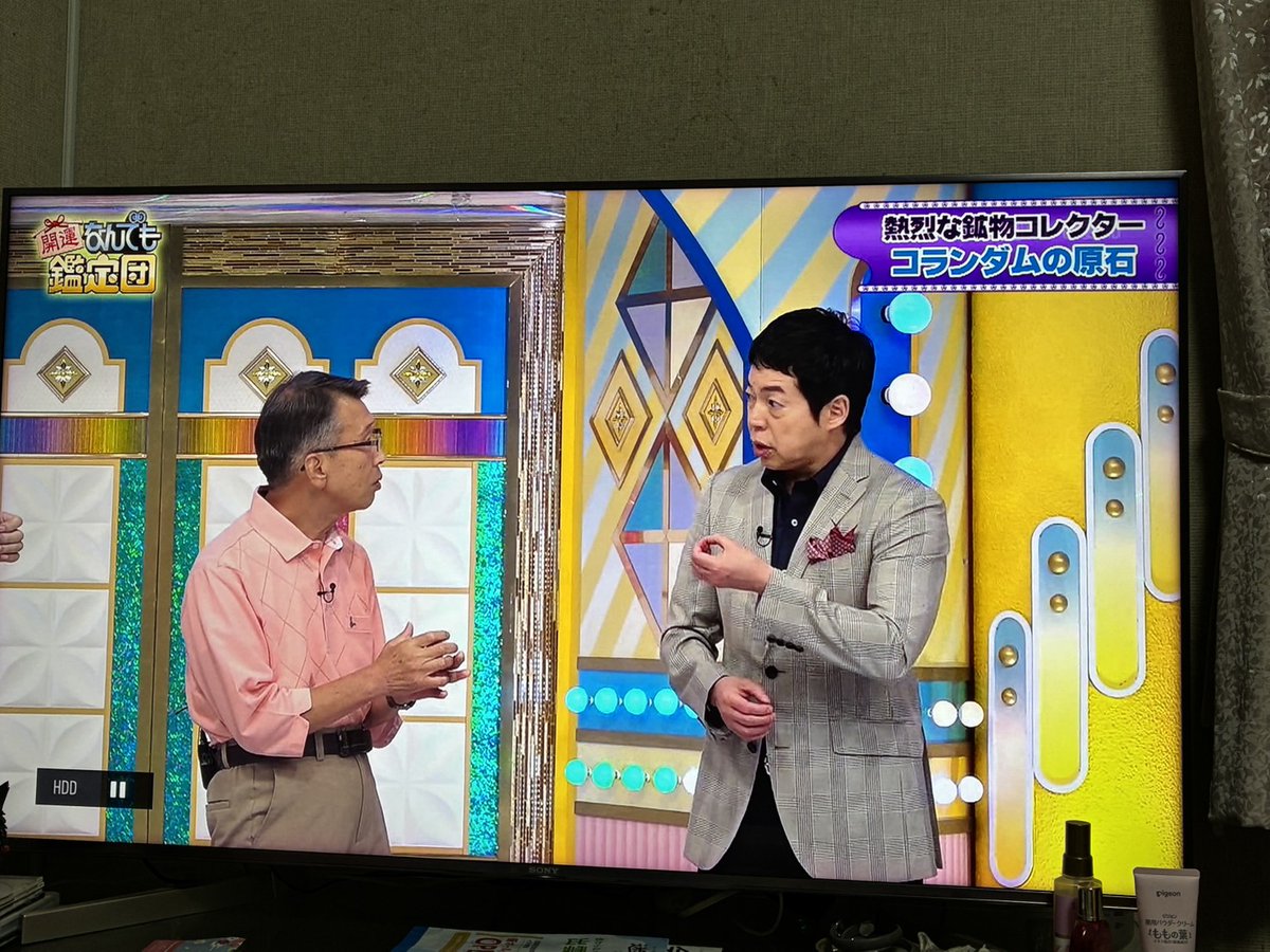 小玉標本室 tweet media