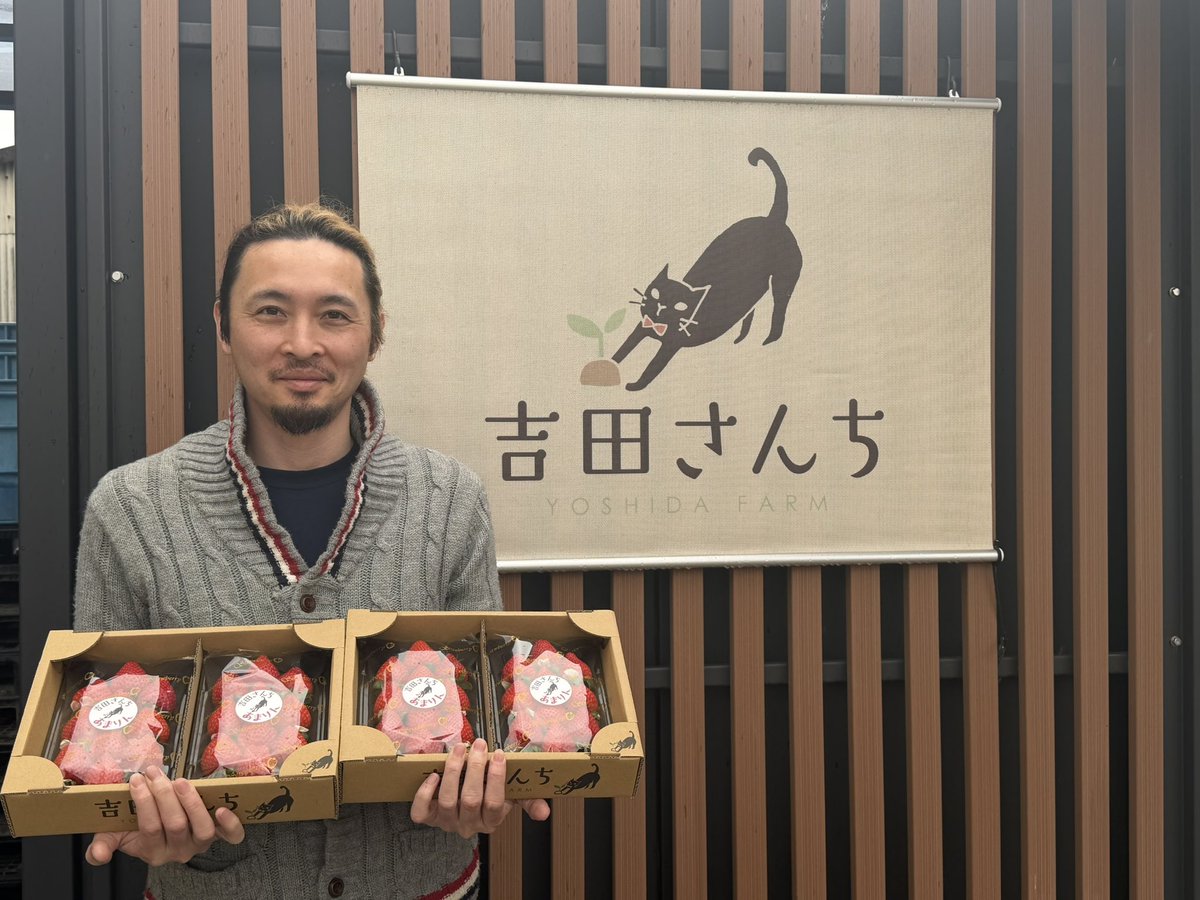 フルーツ×ウイスキーBar かみな秋葉原【招待制】 tweet media