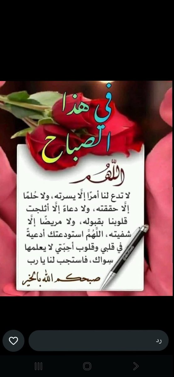 بو احمد tweet media