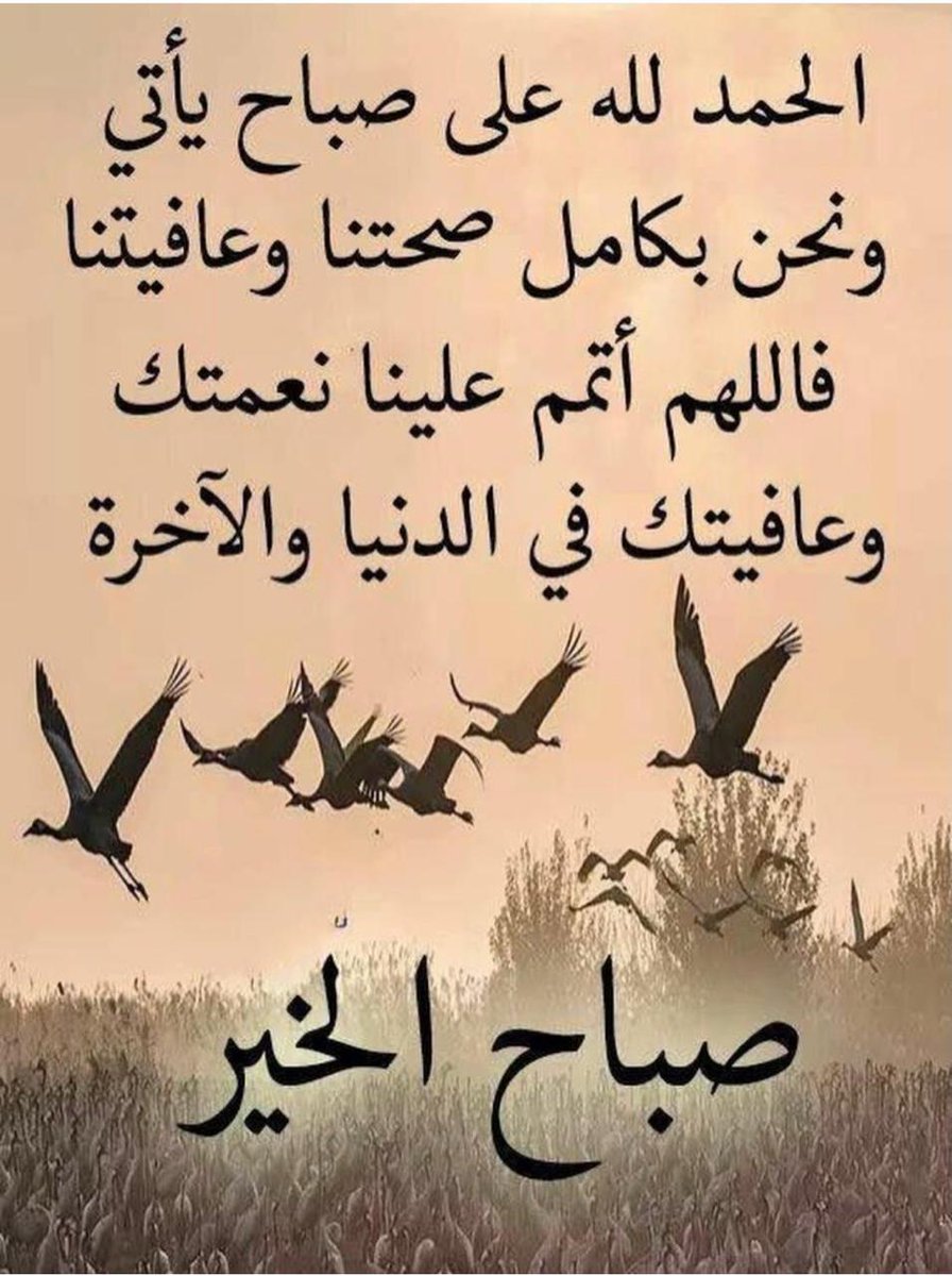 بو احمد tweet media