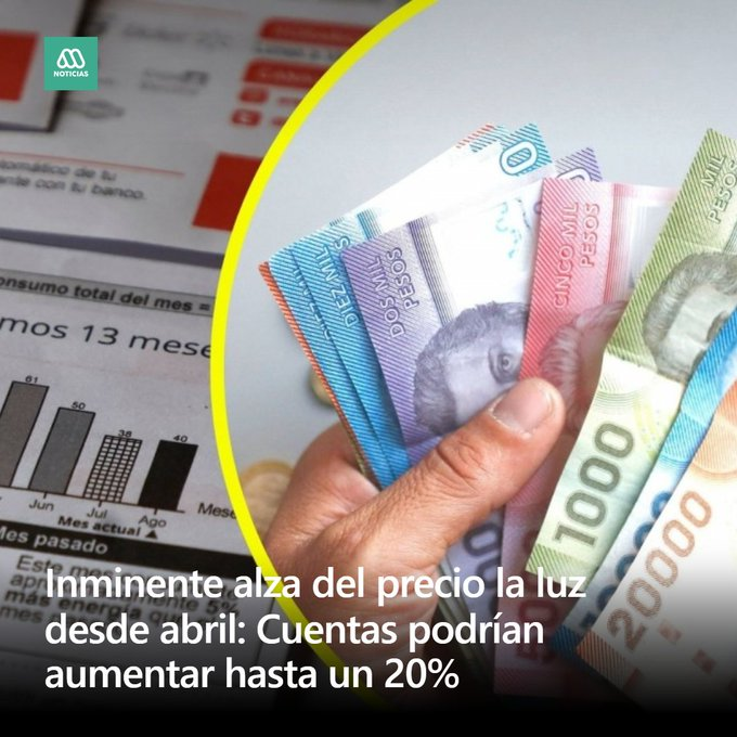 Eugenia Subiabre tweet media