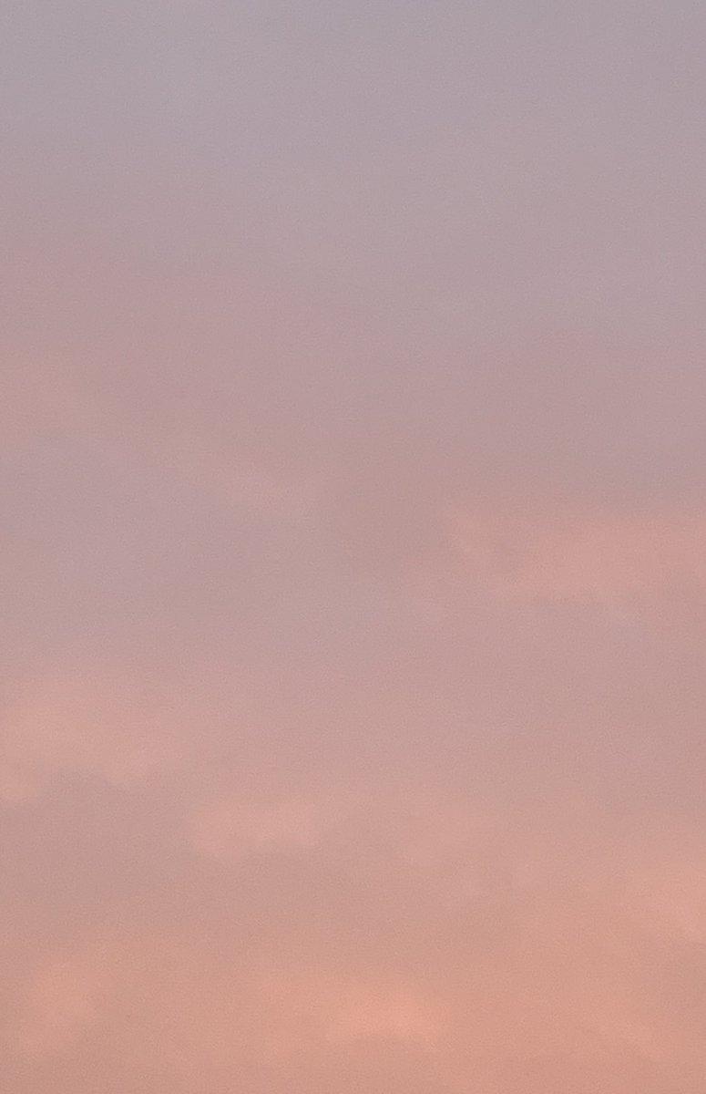  ᴀʟᴡᴀғɪ tweet media