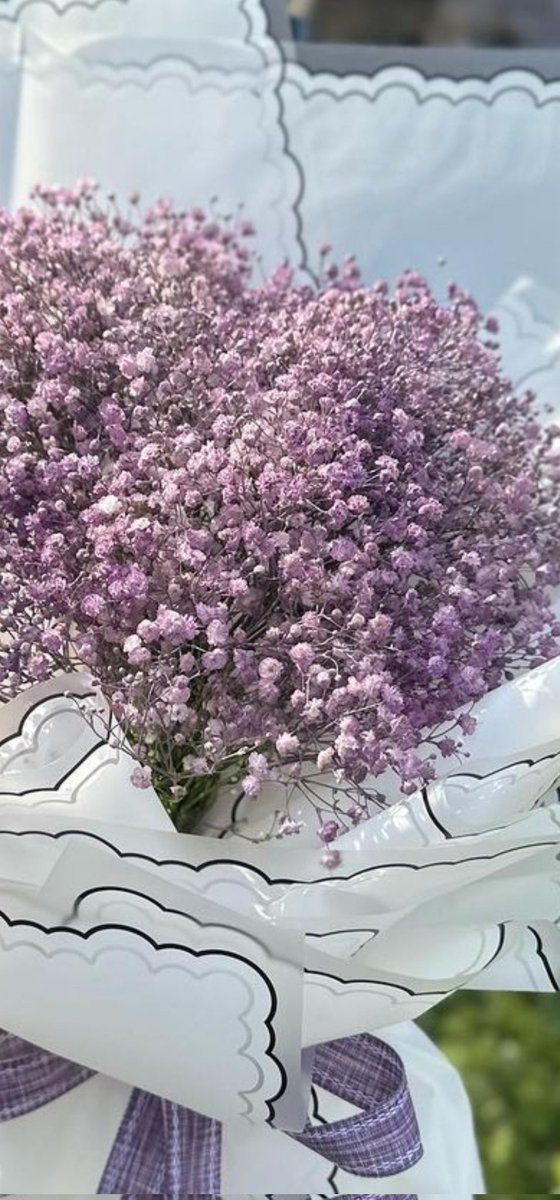 نبيلة🌹بلبل tweet media