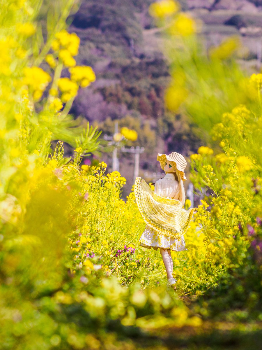 だいくろーど tweet media