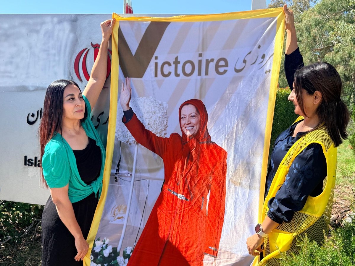 M.Reza Massali tweet media