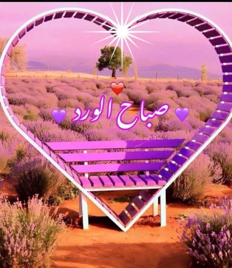 القــيــصـــر tweet media