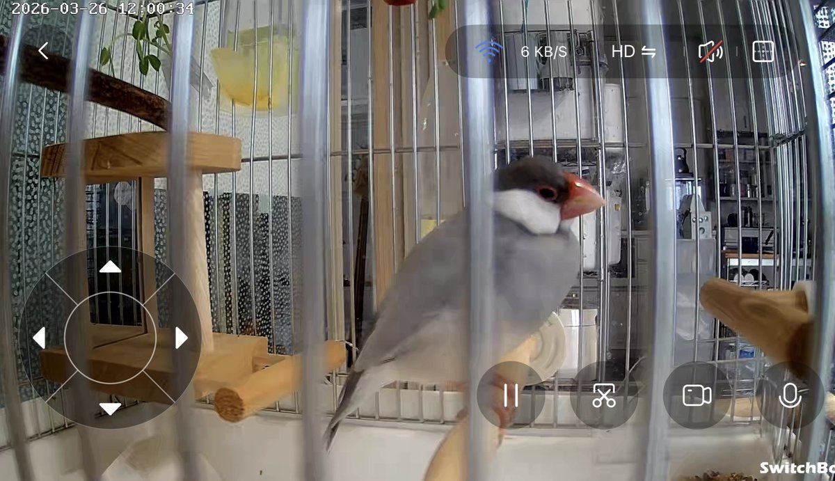 Luminous Orange tweet media