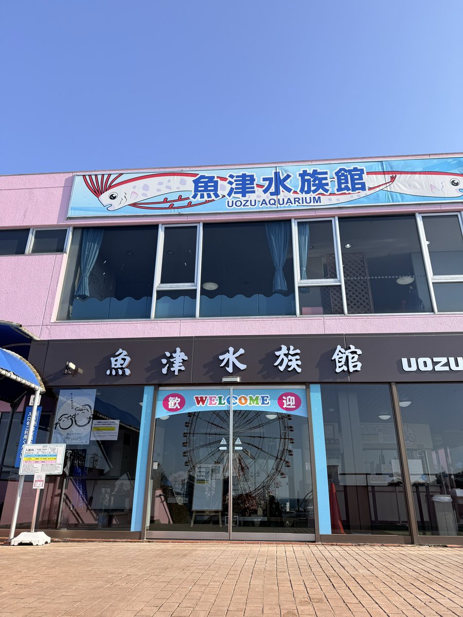 松井 祐香里👑ほくりくアイドル部 tweet media