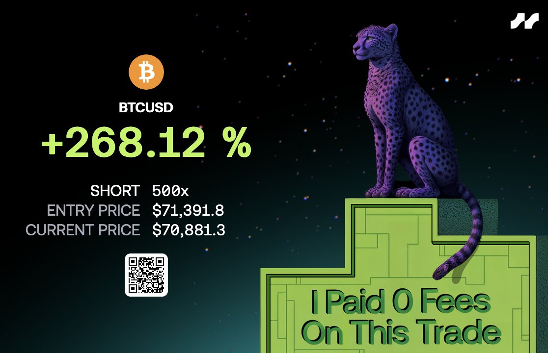 Trader Koala tweet media