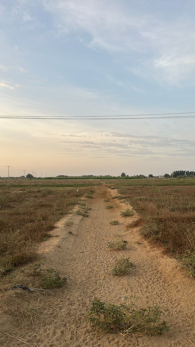 علي مباركي tweet media