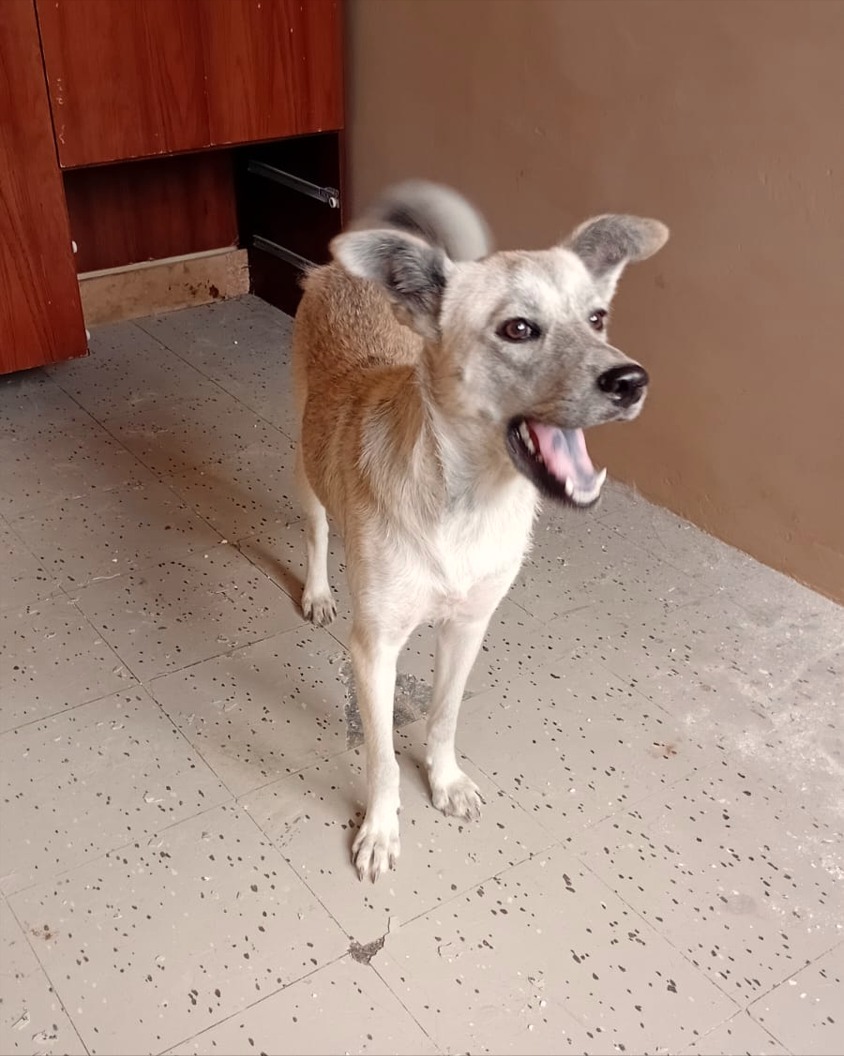 Mike Niken tweet media