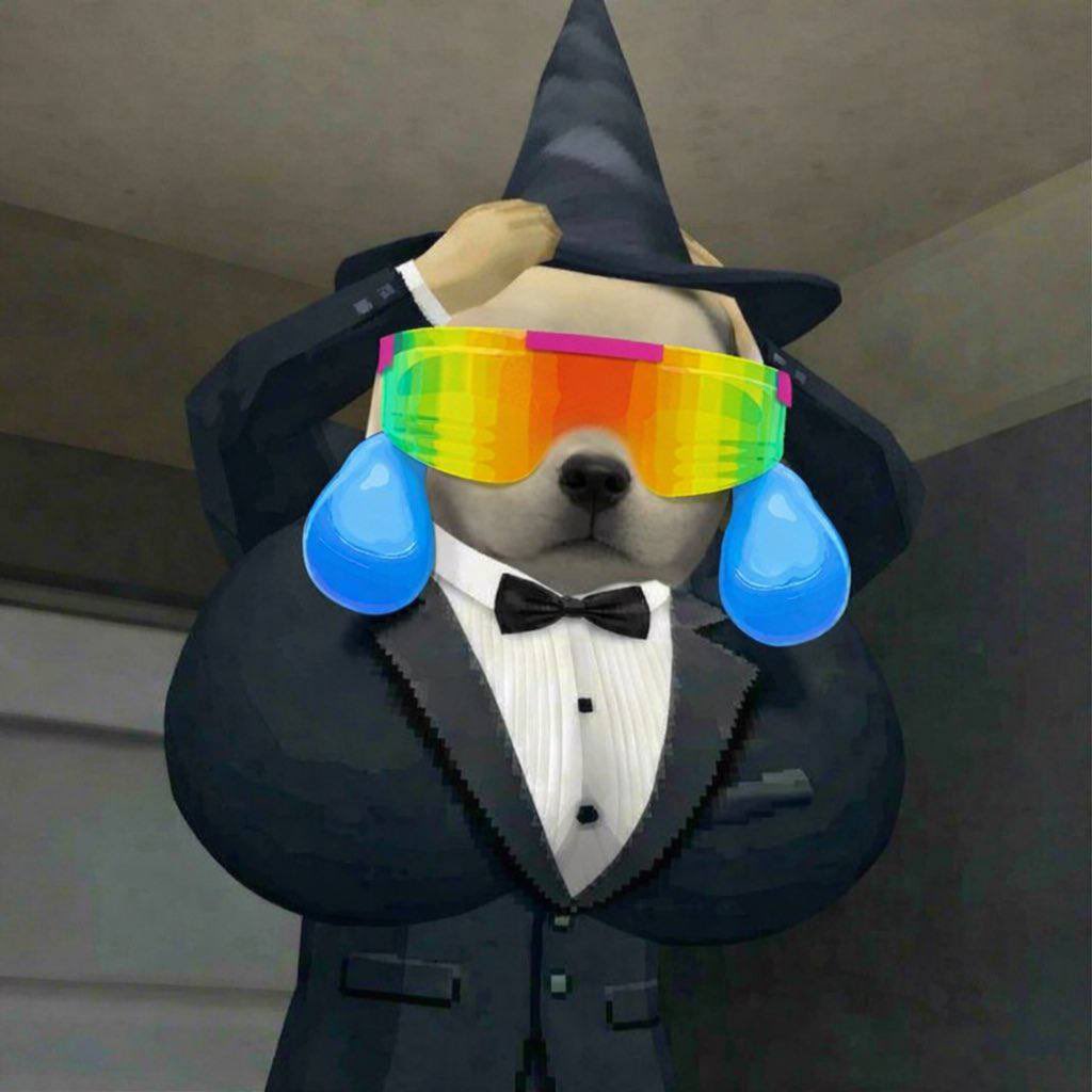 Pumpa /https://dev/ tweet media