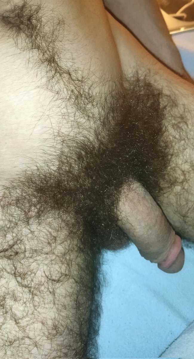 MalePubic_Hair's tweet photo. https://t.co/zf7DjZPdzT