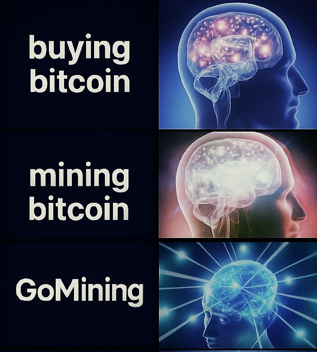 Dorothy Bosworth tweet media