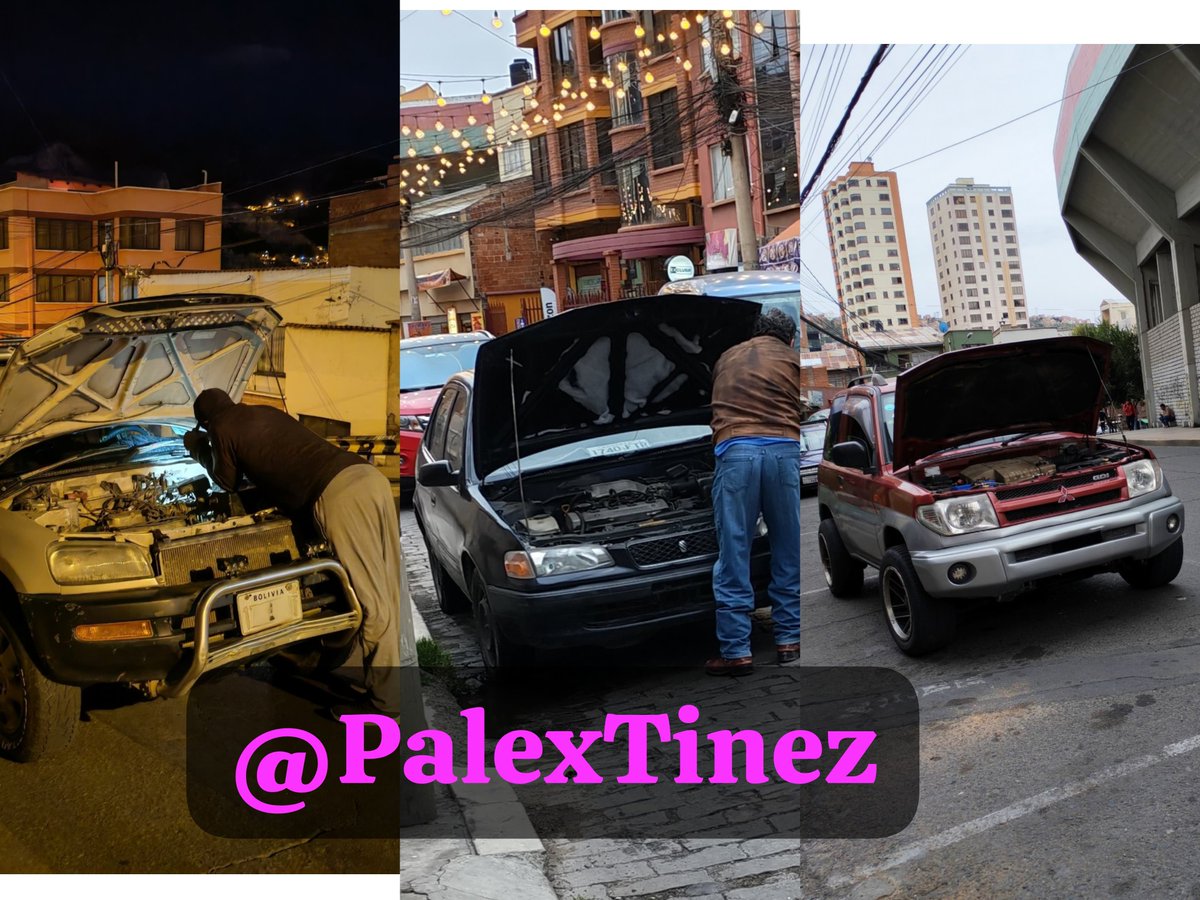 Patricia Alejandra tweet media