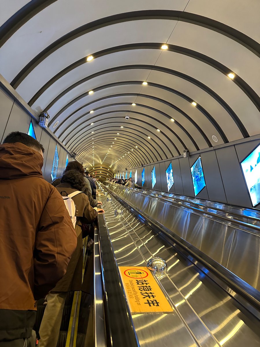 rui skrunkle🟥 tweet media