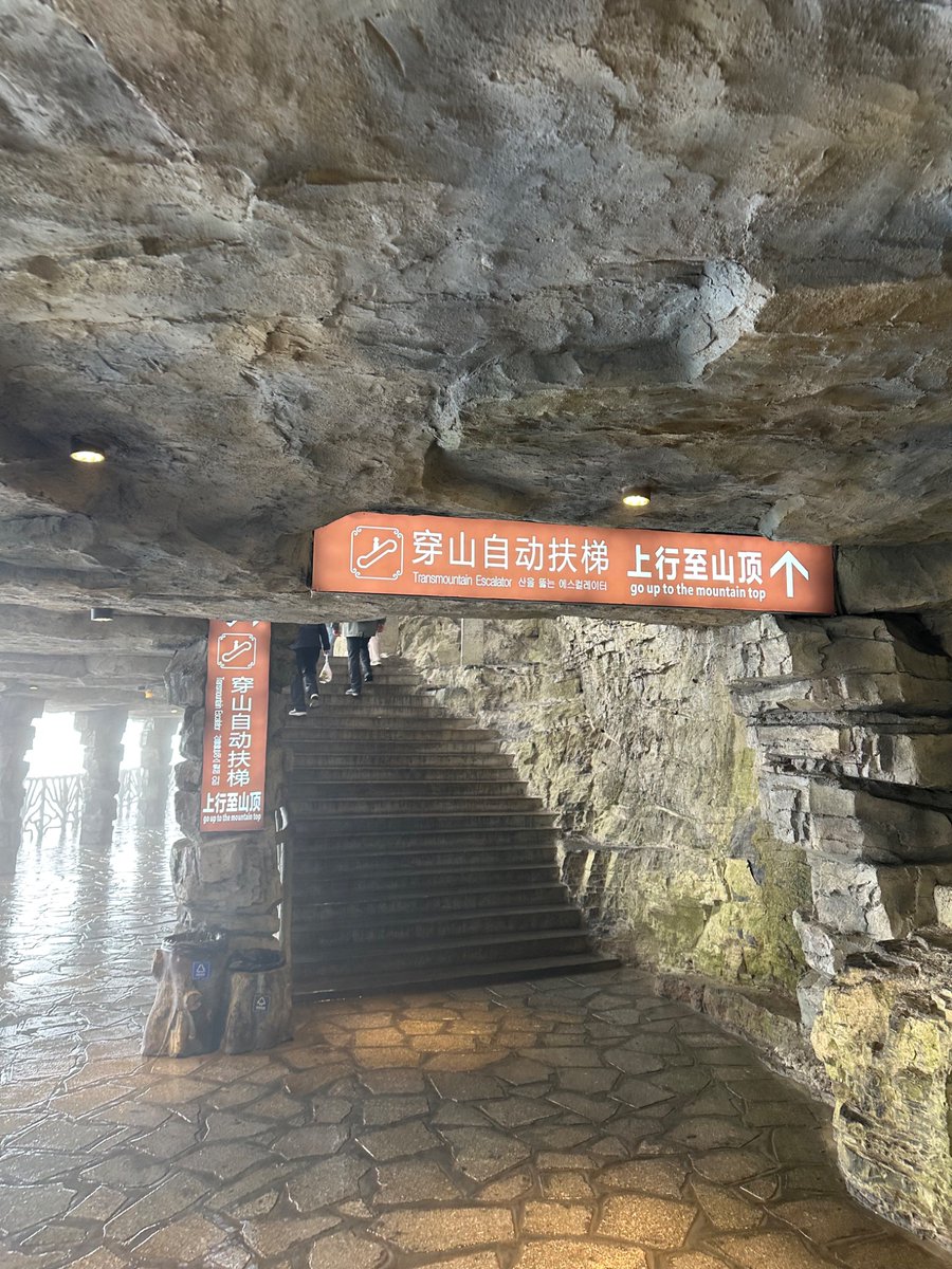 rui skrunkle🟥 tweet media