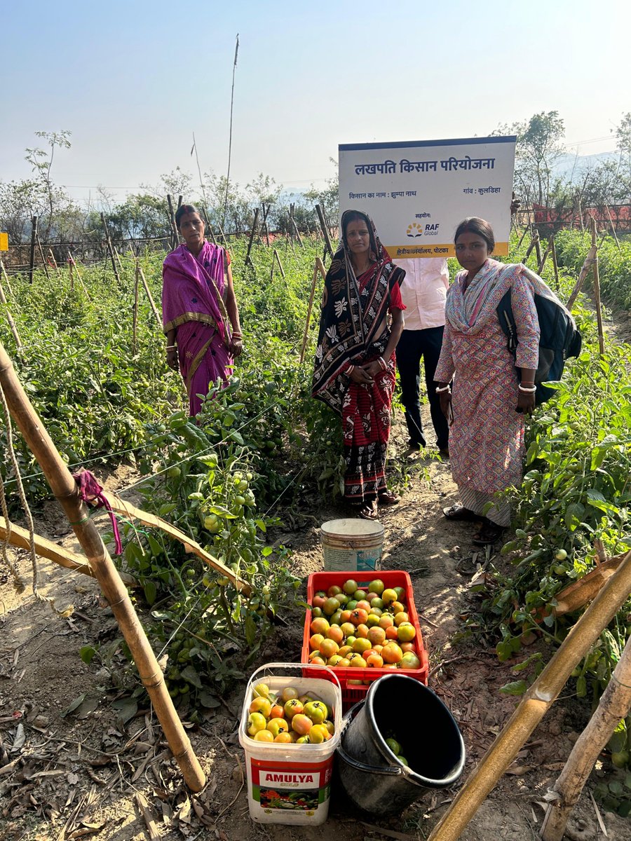 RAF Global tweet media