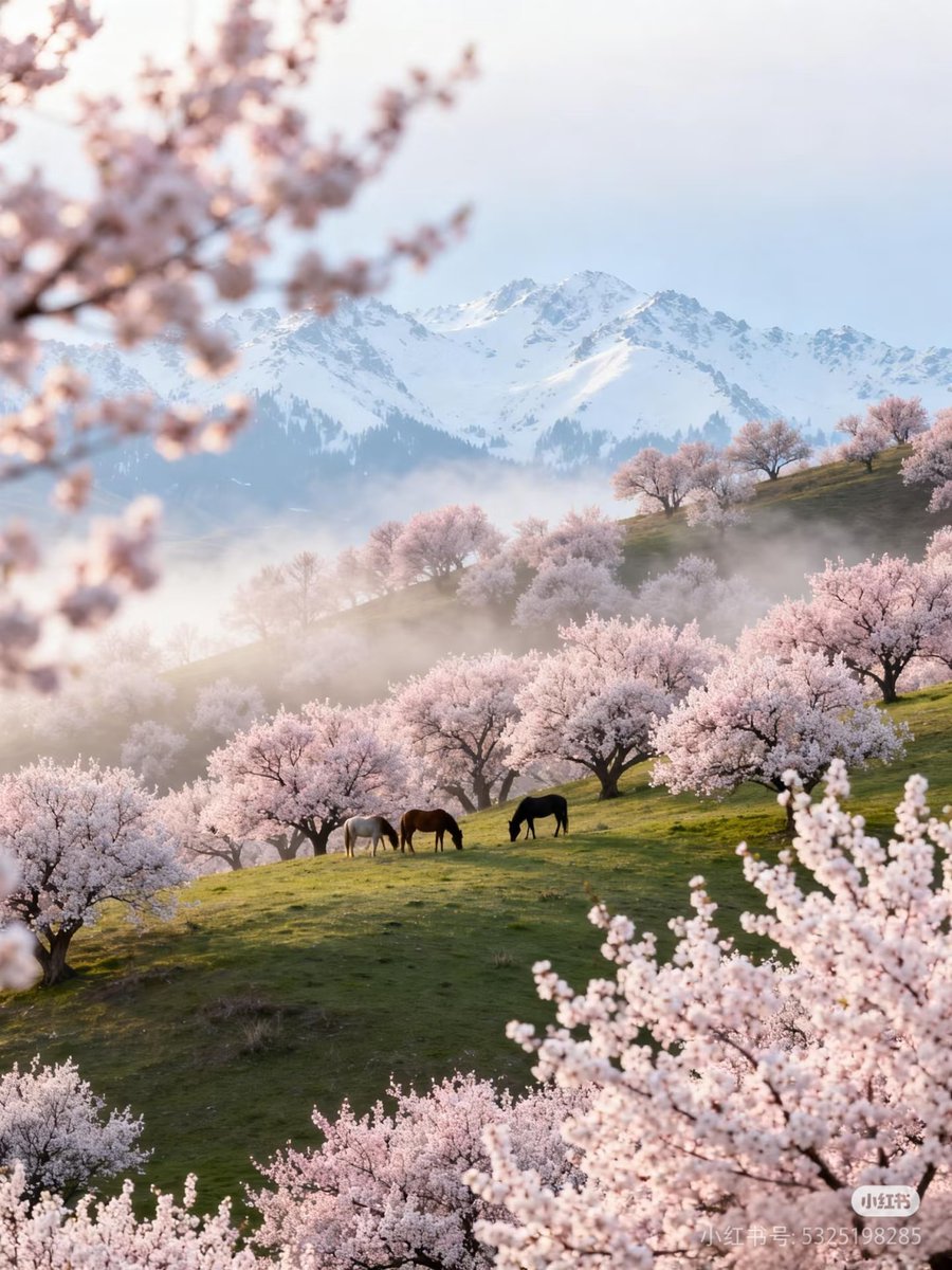 Ellen(互fo互赞冲10000） tweet media