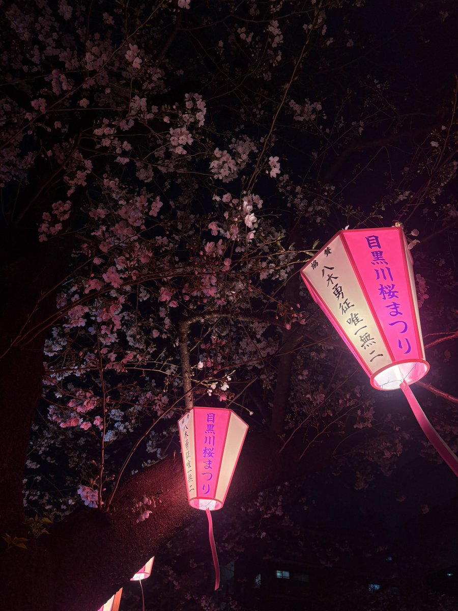 KENKENJI tweet media