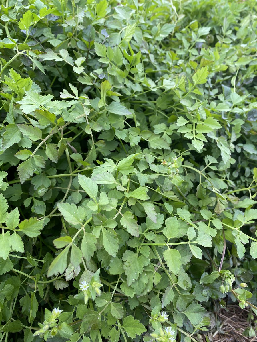 つり勝 tweet media