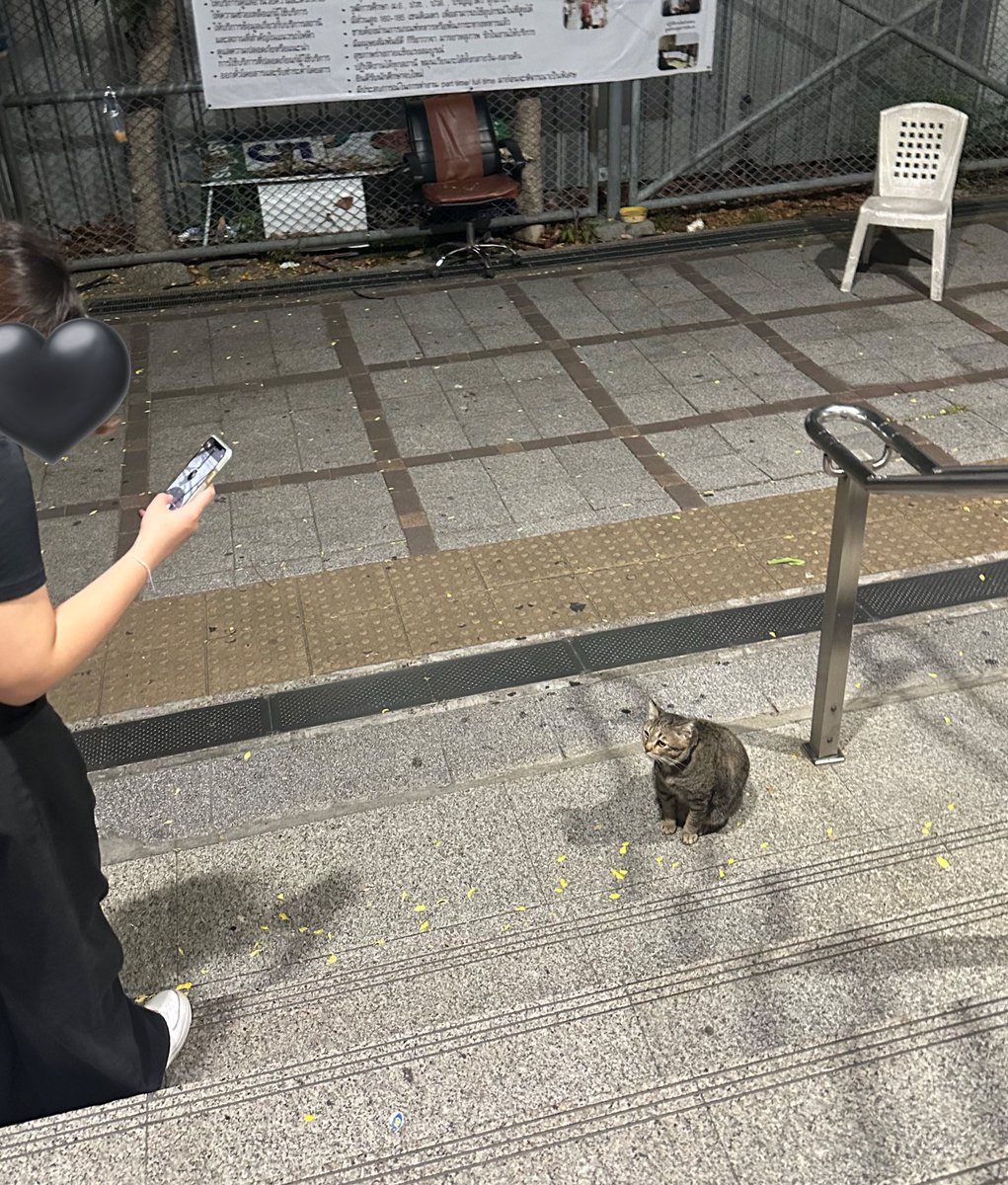 エム ||| COMMISSION OPEN ✧* tweet media