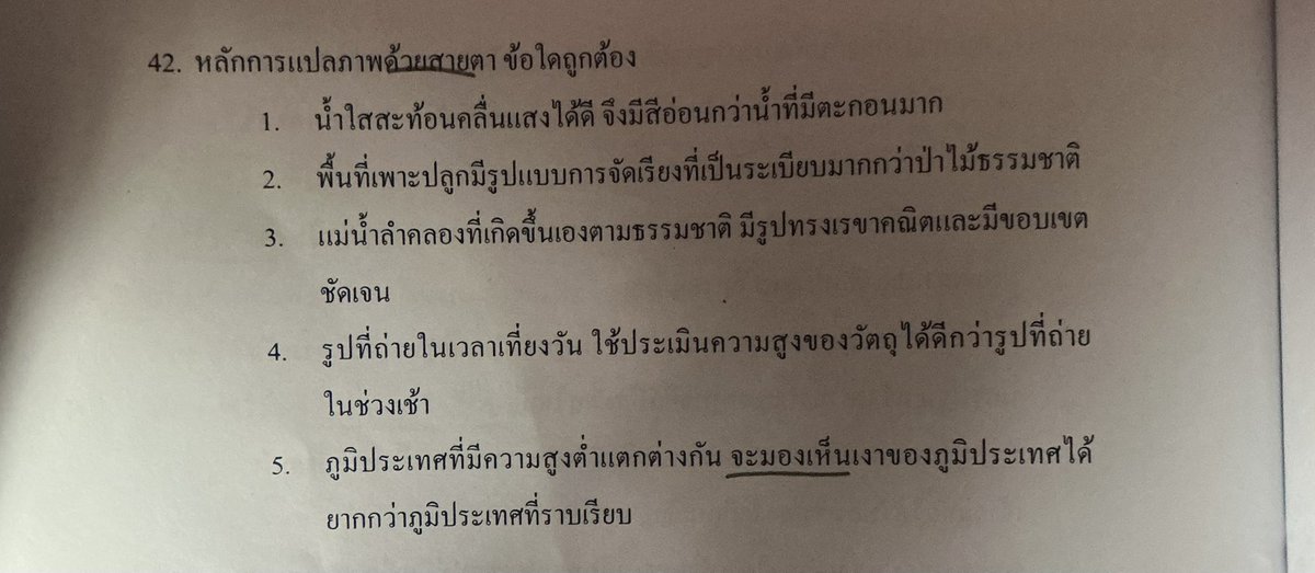 สีส้ม tweet media