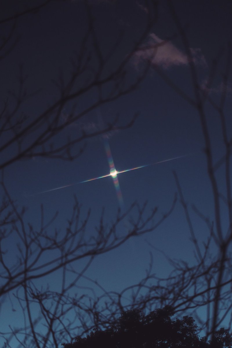 🕊 𓂃𓈒 𓂂𓏸 tweet media