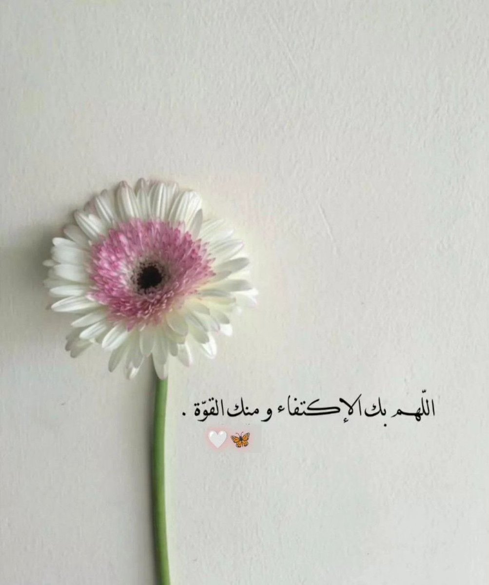 حــــنان💛 tweet media