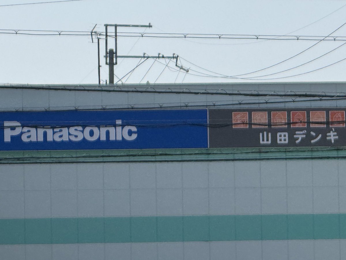 モンゴ tweet media