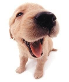 Angel ✧˖ ° ✩ tweet media